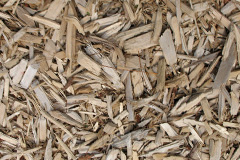 biomass boilers Standburn