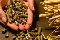 free Standburn biomass boiler quotes